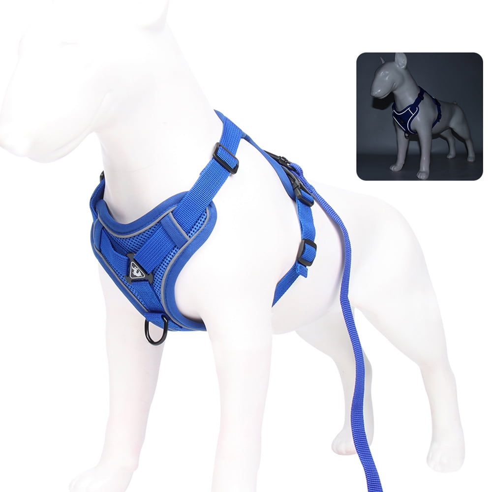 Are Front Clip Harnesses Bad For Dogs
