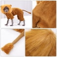thumbnail image 3 of OULII Costume de Flanelle Dorée en Forme de Lion pour Chien Chat Séances Photo, 3 of 7