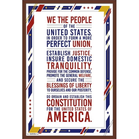 The United States Of America - Constitution Preamble Wall Poster 22.375 x 34 Framed