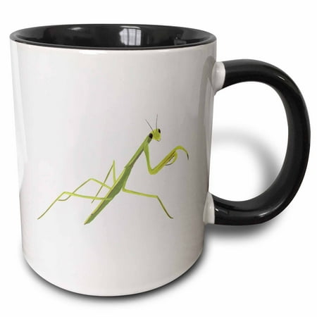 

3dRose Painting of a green praying mantis Two Tone Black Mug 11oz