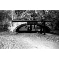 thumbnail image 2 of Grey, Jace 18x13 White Modern Wood Framed Museum Art Print Titled - Central Park Horses, 2 of 4