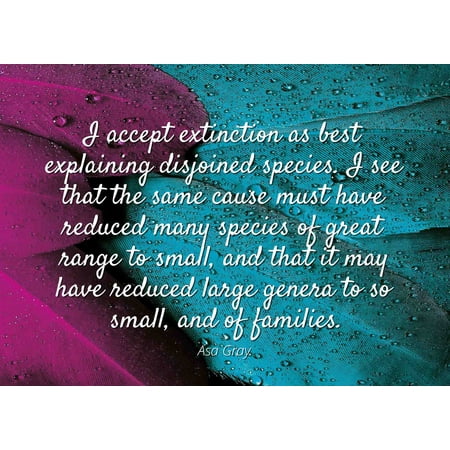 Asa Gray - Famous Quotes Laminated POSTER PRINT 24x20 - I accept extinction as best explaining disjoined species. I see that the same cause must have reduced many species of great range to small, (Best Place To See The Great Wall)