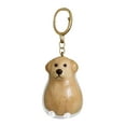 thumbnail image 2 of 1/2/3/4/6/10PCS Fun Dog Hair Collector Keychain Charm Memorial Storage Box,Cute Pet Hair Memorial Keepsake,Transparent Pets Hair Collector Keychain for Pet Lovers, 2 of 4