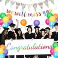 thumbnail image 4 of YANSION We Will Miss You Banner Rainbow Party Decorations with Good Luck Balloons Colorful Triangle Flag Banner for Retirement Graduation Leaving Party Going Away Farewell Party, 4 of 7