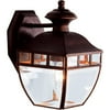 Hampton Products Amalfi Bronze Outdoor Coachlight