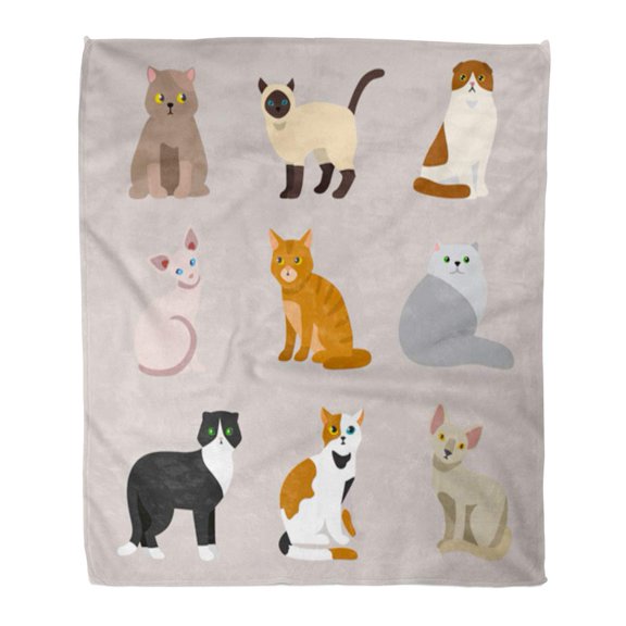 SIDONKU Throw Blanket 50x60 Inches Cat Breed Cute Pet Portrait Fluffy Young Adorable Cartoon and Pretty Fun Warm Flannel Soft Blanket for Couch Sofa Bed