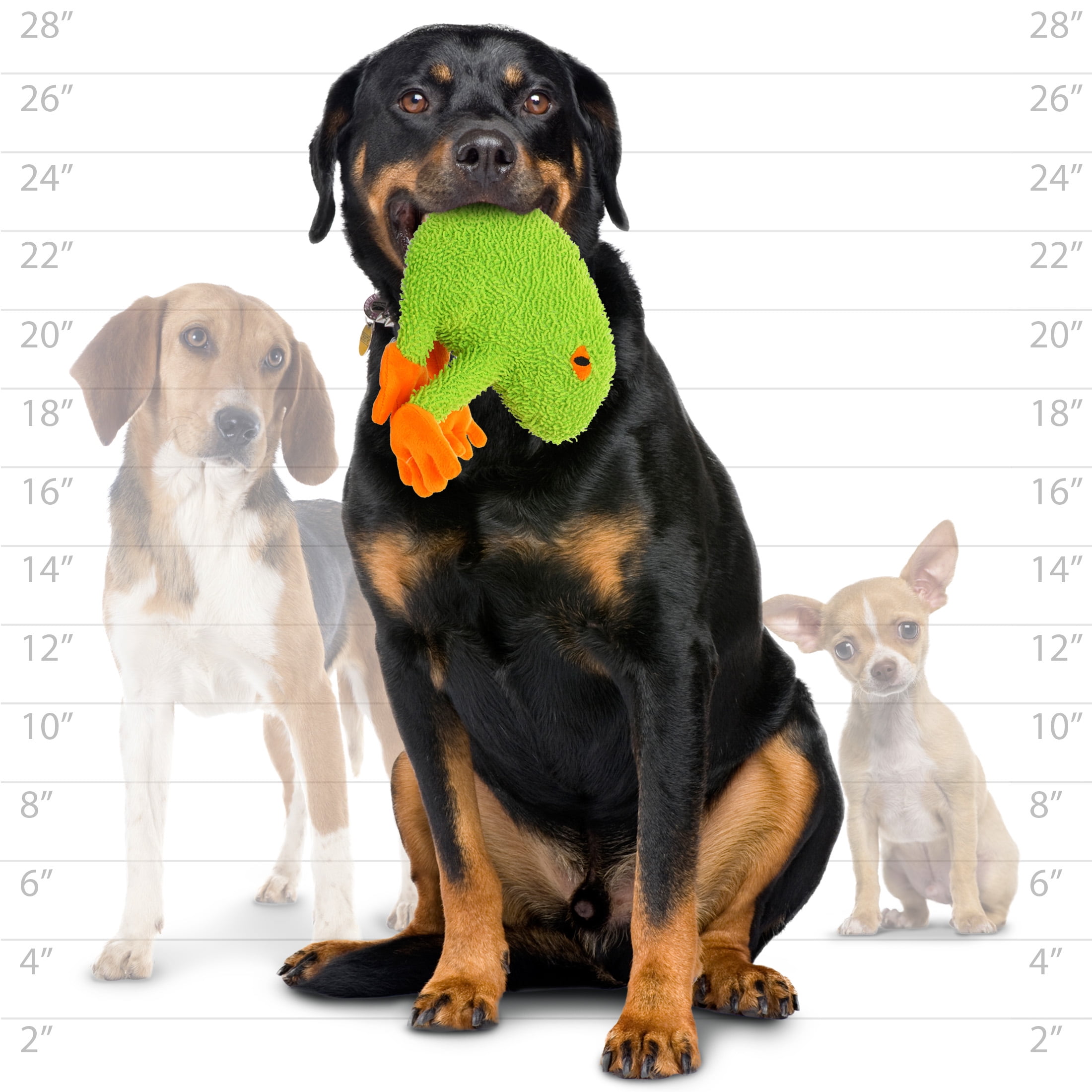 Mighty Microfiber Frog Durable Plush Squeaky Dog Toy