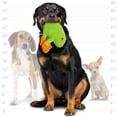 thumbnail image 5 of Mighty Microfiber Frog Durable Plush Squeaky Dog Toy, 5 of 8