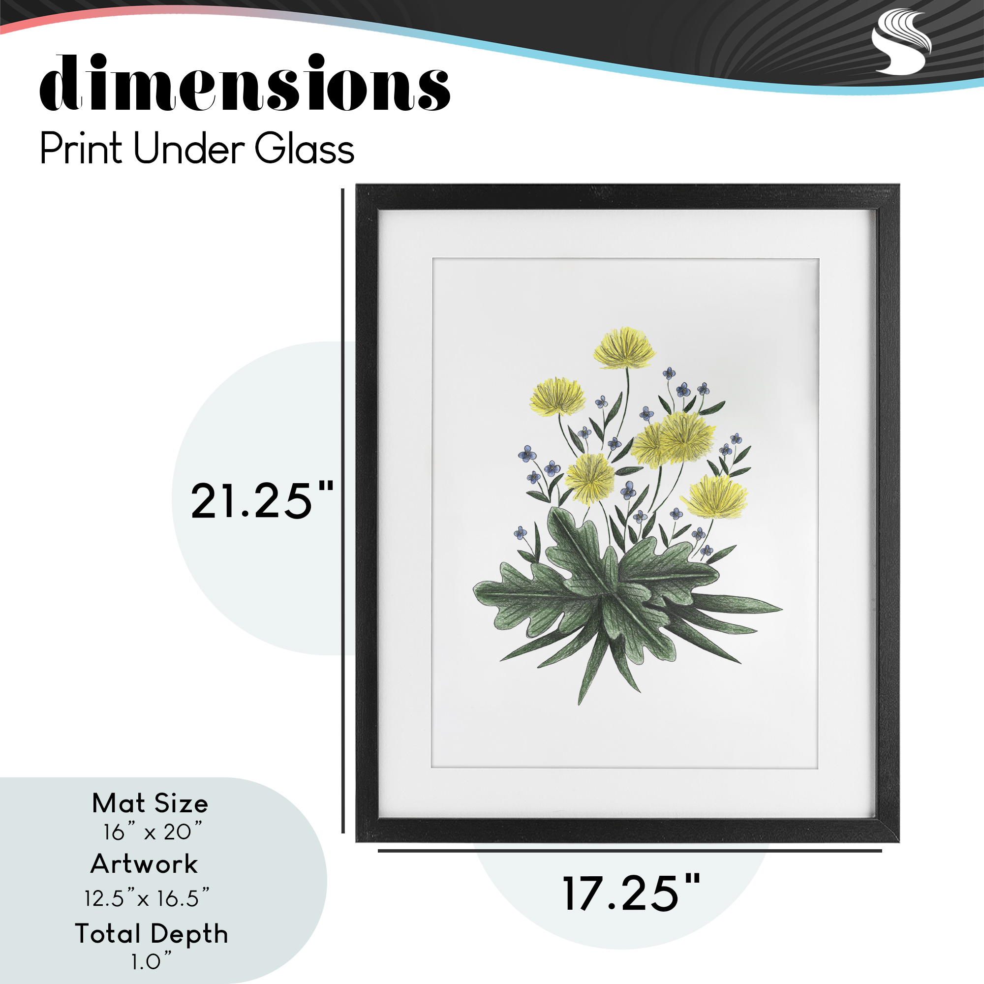 Dandelion Flower Illustration Black Framed Print Under Glass, design by Cecilia Battaini