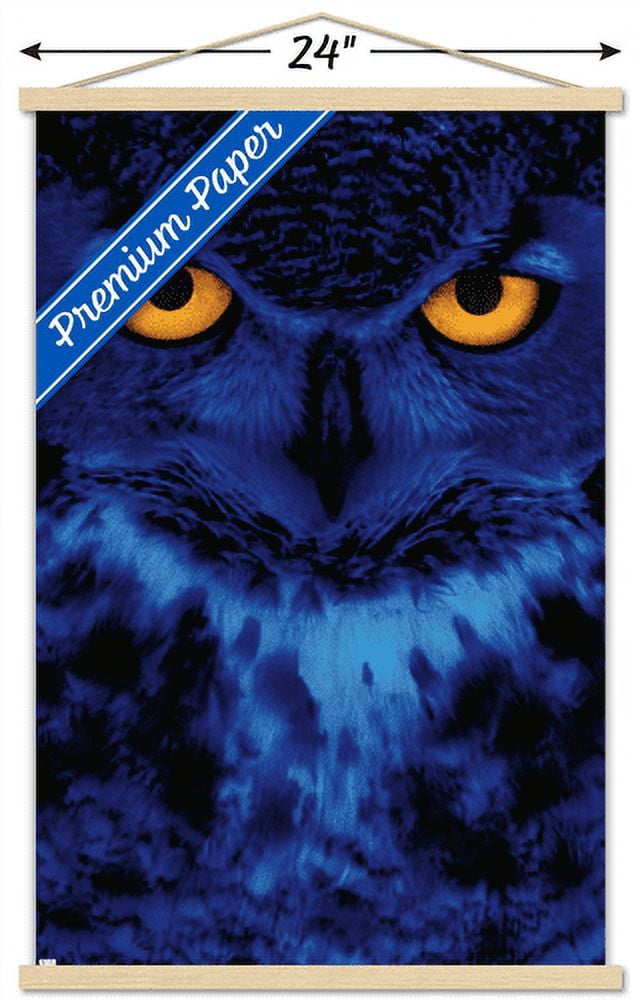 Owl - Eyes Wall Poster with Wooden Magnetic Frame, 22.375" x 34"