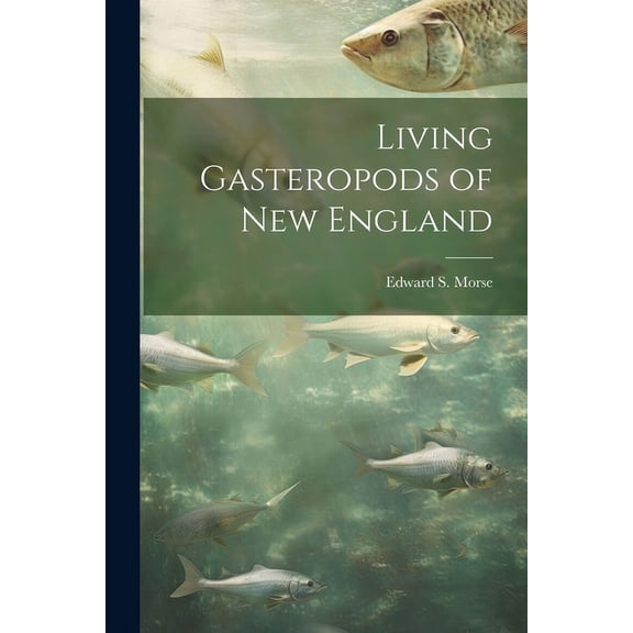 Living Gasteropods of new England (Paperback)