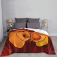 thumbnail image 6 of The Lion King Fleece Blanket Super Soft Cozy Throw Blanket Fuzzy Comfy Flannel Blanket Warm Plush Blankets And Throws For Couch, Sofa, Bed 80"X60", 6 of 7