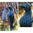 thumbnail image 2 of Artificial Black Crows Birds, Realistic Hanging Dead Crow Prop, Halloween Decorations Raven Prop Outdoor Crows Halloween Decor Fake Raven for Halloween Party Prop. (A), 2 of 7