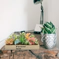 thumbnail image 6 of Artificial Wooden Box Potted Plant Flower Desktop Green Plants Home+decor Office, 6 of 6
