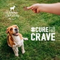 thumbnail image 6 of Canine Cravers Single Ingredient Dog Treats – Premium Lamb Fillets - Human Grade Air Dried Hypoallergenic Pet Food – Grain, Gluten, and Soy Free – 100% All Natural – 5.3 oz Bag, 6 of 8