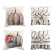 thumbnail image 2 of Fundas de almohada de otoño de 18 x 18, juego de 4 para decoración de otoño, decoración de otoño, almohadas de otoño, cojines decorativos, 2 of 5