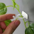 thumbnail image 5 of 300 Pcs Indoor House Plant Climbing Clips Cable Holders Wall Mount Cord Organizers for Secure Plant Support, 5 of 6