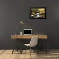 thumbnail image 4 of Head, Danny 24x17 Black Modern Framed Museum Art Print Titled - Running FreeI, 4 of 5