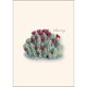 thumbnail image 2 of Set de Tarjetas de Notas Earth Sky + Water – 8 unidades (9 cm x 13 cm), 2 of 4