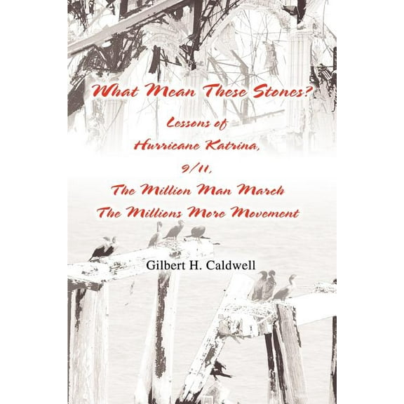 What Mean These Stones?: Lessons of Hurricane Katrina, 9/11, The Million Man March The Millions More Movement