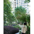 thumbnail image 3 of Niepce Inc Fruit picker with a 13-foot basket, featuring a 20-foot high reach and a convenient extension pole for easy attachment to fruits trees, 3 of 7
