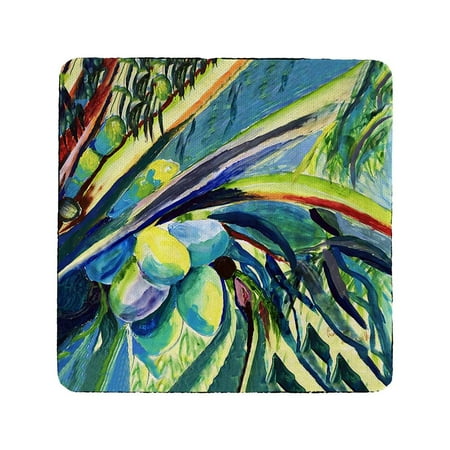 

Betsy Drake CT1347 Cocoa Nuts III Coaster - Set of 4