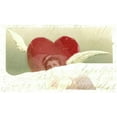 thumbnail image 1 of Angelheart - CANVAS OR FINE PRINT WALL ART, 1 of 1