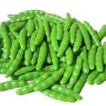 thumbnail image 1 of Coofit 24 Pcs Légumes Artificiels Réalistes Haricot Vert Légume Simulé Accessoire Photo, 1 of 7