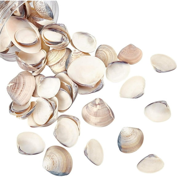 300g Natural Clam Shell Beads Undrilled Seashell Beads Beach Seashell Charms for DIY Summer Ocean Craft Jewelry Making Wedding Party Home Decor