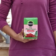 Miracle-Gro Water Soluble Rose Plant Food, 1.5 lbs., Feeds Instantly
