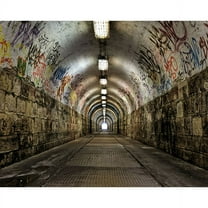 Wall Rogues Graffiti Tunnel Wall Mural, 94-in by 118-in, 77.03 sq. ft.