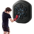 thumbnail image 1 of Newmodern Cible Murale de Boxe, 1 of 1