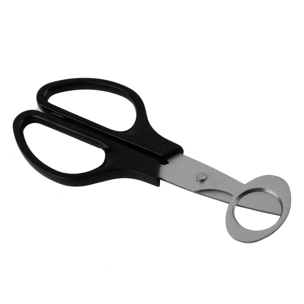 Details about   Quail Egg Scissors Cracker  Opener Cigar Cutter Stainless Steel Blade Tool ZD Ul 