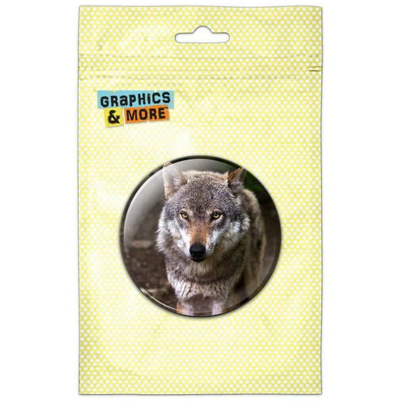 Wolf Staring Pinback Button Pin Badge