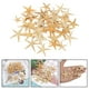 thumbnail image 4 of Conchas De Estrella De Mar Naturales, Exhibición De Boda, Decoración Artesanal Para Acuario, 2-3cm, 50 Uds. Sunnimix artesanías conchas marinas, 4 of 8