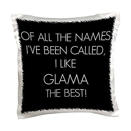 3dRose Of all the names Ive been called I like Glama the best , Pillow Case, 16 by