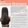 thumbnail image 5 of Difeel Batana Shampoo 12 Ounces - Sulfate Free Shampoo, 5 of 7
