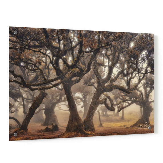 Epic Art 'The Hidden Truth' by Martin Podt, Acrylic Glass Wall Art, 36"x24"