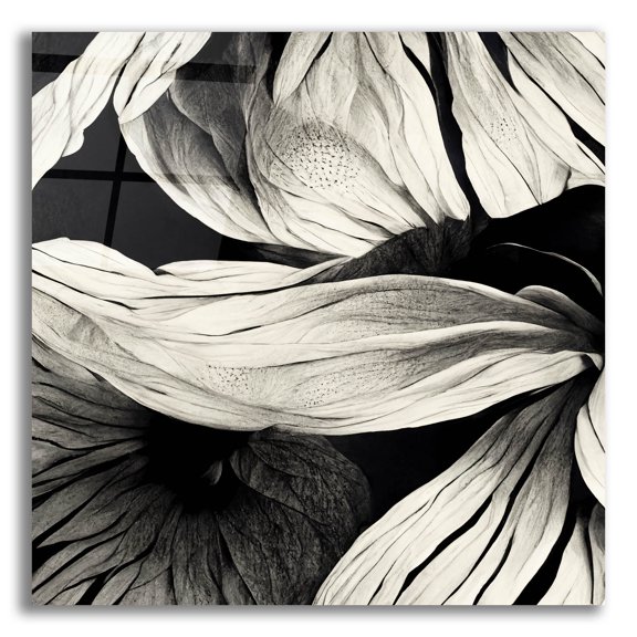 Epic Art 'Flowers Black White 23' by Ray Heere, Acrylic Glass Wall Art, 12"x12"
