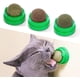 thumbnail image 1 of Potaroma 3 bolas de hierba gatera Silvervine, juguetes comestibles para gatos para lamer, juguetes para masticar gatitos seguros y saludables, limpieza de dientes, juguetes dentales para gatos, golosinas de pared para gatos Ormromra WMXL-75, 1 of 7