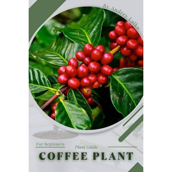 Coffee Plant: Plant Guide