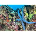 thumbnail image 3 of Kraken Universal Smart Phone Camera Waterproof Housing Pro w/Sensor KRH05, 3 of 4
