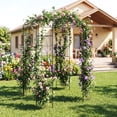 thumbnail image 2 of Patiojoy Birdcage Shape Garden Arch 9.4 x 6.8FT Heavy Duty Arch Trellis for Climbing Plants, 2 of 8