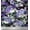 Medium Purple, variant on Soimoi Cotton Duck Fabric Skull,Rose & Anemone Flower Print Fabric by The Yard 42 Inch Wide