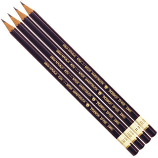 Koh-I-Noor Gioconda Soft Pastel Pencil Set, 48/Each Packed in  Tin, Assorted Colored Pencils (FA8828.48) : Artists Pastels : Arts, Crafts  & Sewing