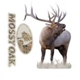 thumbnail image 3 of Mossy Oak Graphics 24036 Mini Elk Bugling Cutout Decal, 3 of 3
