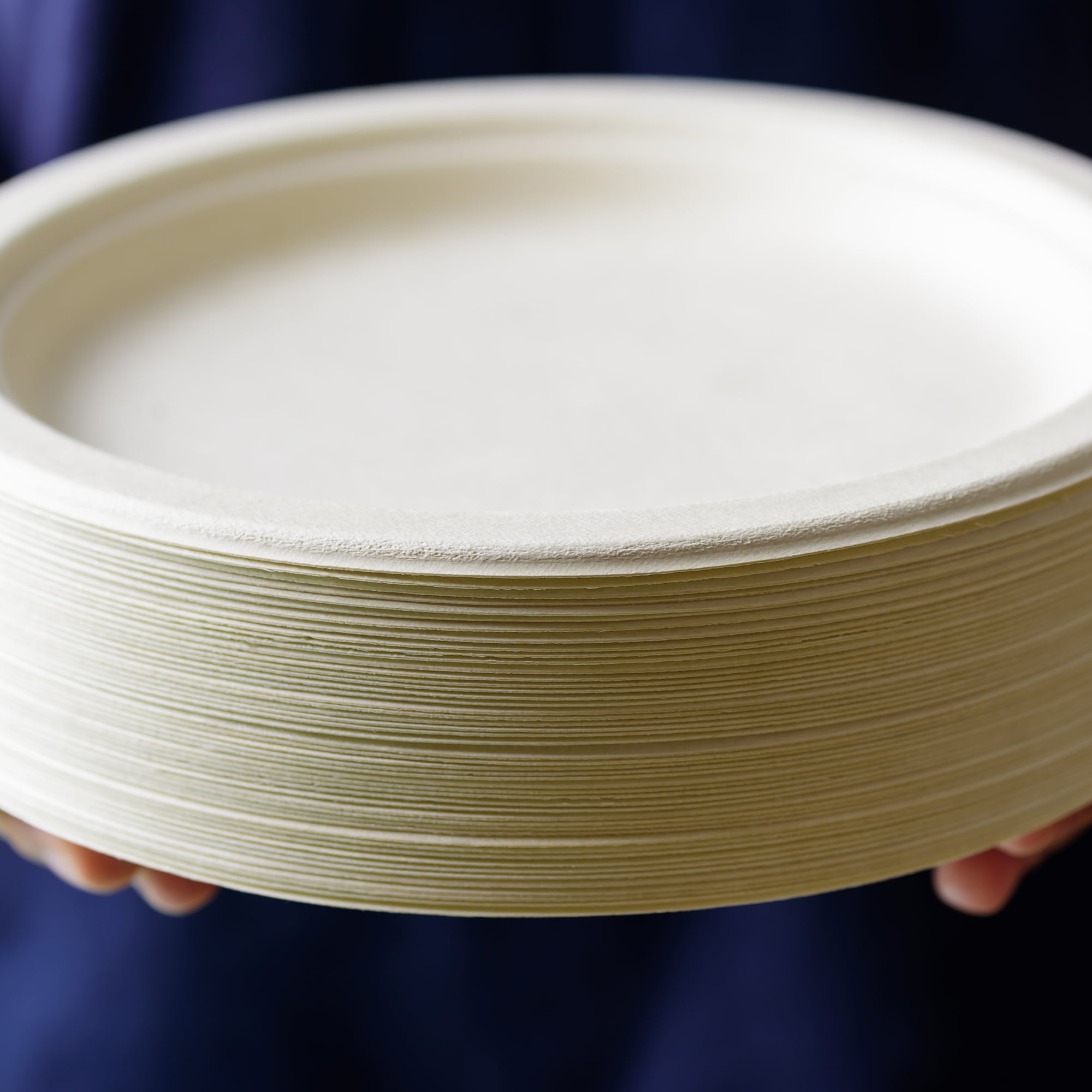 Plant Plate Everyday Solid Print Disposable Paper Plates, 10 Inch, 150 Count