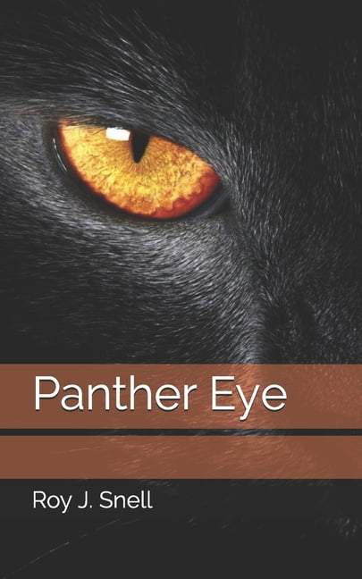 the diamond eye paperback the diamond eye paperback