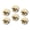 M051, variant on Glass Refrigerator Magnet 6Pcs Magnetic Fridge Sticker,Decor for Kitchen,Whiteboard,Cabinet,Large Brightly Colored Rooster Was Standing In The Field