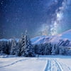 SAYFUT 5x7ft Christmas White Snow Winter Tree Road Photography Backdrop Bokeh Wonderland Background Snowflake Glitter Newborn Baby Portrait Banner Xmas Party Decorations Photo Studio Props